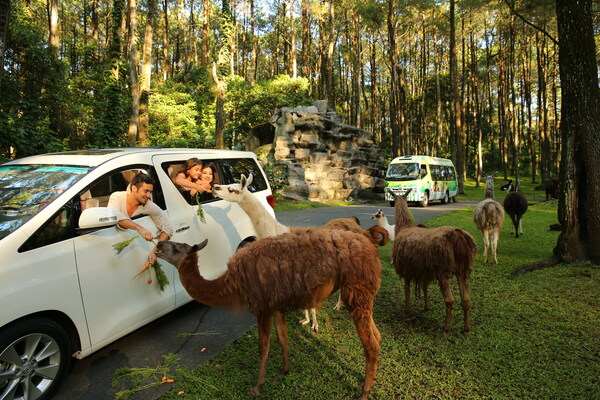 Taman Safari Indonesia Welcomes Korean Travelers with Unlimited Joy Across All Destinations