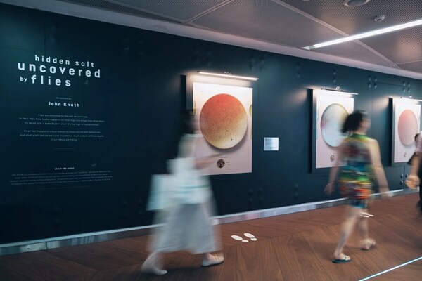 Artist Uses Flies to Reveal the Truth About Sodium