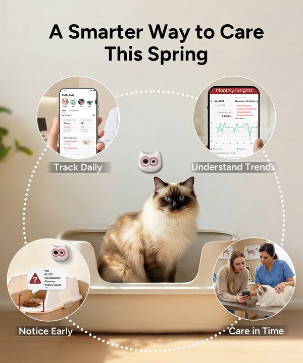 SiiPet Highlights Spring Health Priorities for Cats as Seasonal Initiative Expands Access to AI‑Driven Monitoring