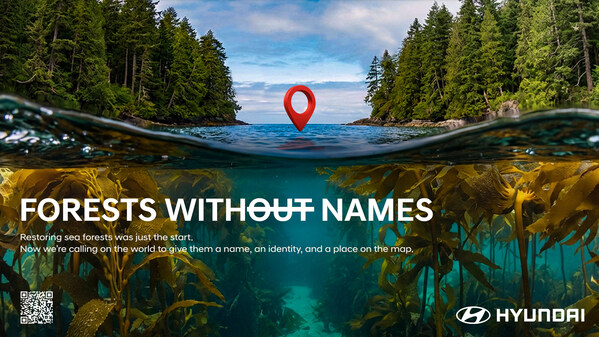 Forests Without Names: Hyundai Motor Brings the World's Hidden Sea Forests Into the Light