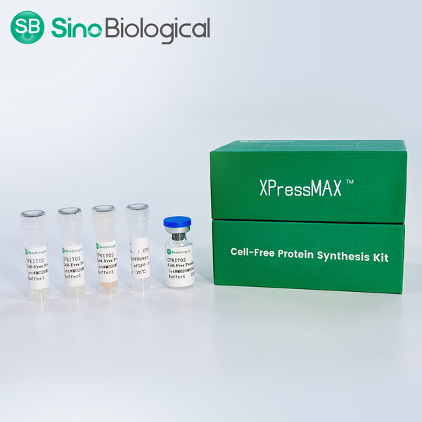 Sino Biological Launches XPressMAX™ Cell-Free Protein Synthesis Kit, Accelerating AI-Powered High-Throughput Antibody Drug Discovery