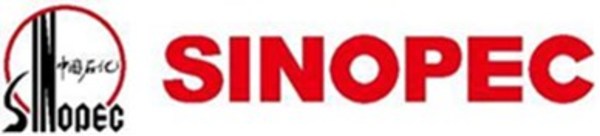 Sinopec's Ziyang Dongfeng Shale Gas Field Reports Proven Reserve of 235.687 Billion Cubic Meters