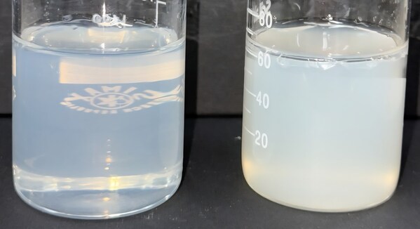 Shinsung Materials Strengthens Global Presence with High-Performance Personal Care Ingredients