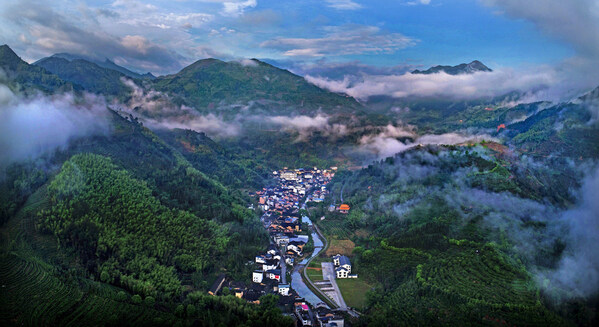 Xinhua Silk Road: Fu'an tea industry in SE China's Fujian generates 13.8 bln yuan in output value