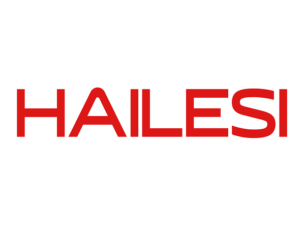 Ultra-Portable Large-Screen Companion for Nintendo Switch Gamers -- HAILESI S135 Portable Monitor | 500 Nits Peak Brightness & Crisp 2.2K Resolution, a Top-Tier Pick Worth Considering
