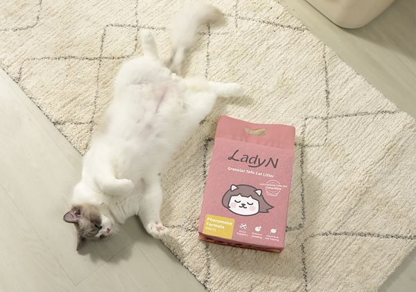 Lady N Brings Vet-Backed Pheromone Innovation to Everyday Litter Care